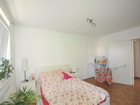 Immobilien Germ