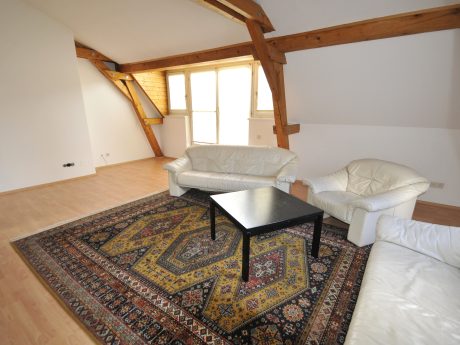 Immobilien Germ