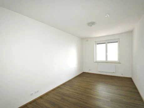 Immobilien Germ