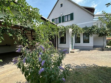 Immobilien Germ