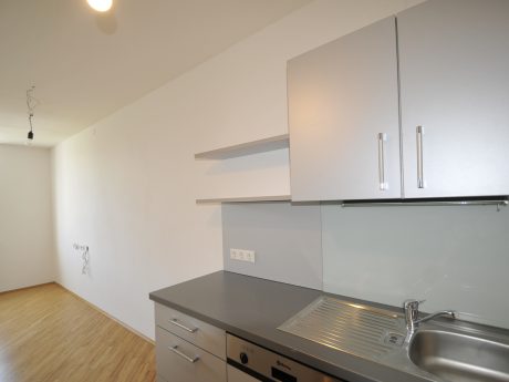 Immobilien Germ